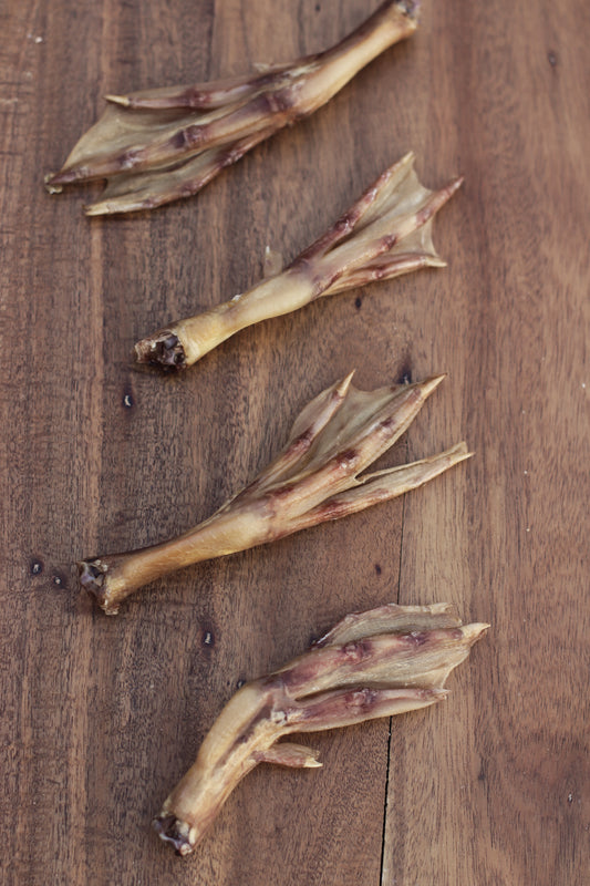 Duck Feet